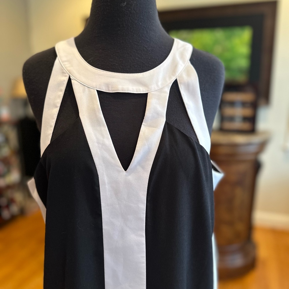 Project RUNWAY B/W Dress - Picture 2 of 6
